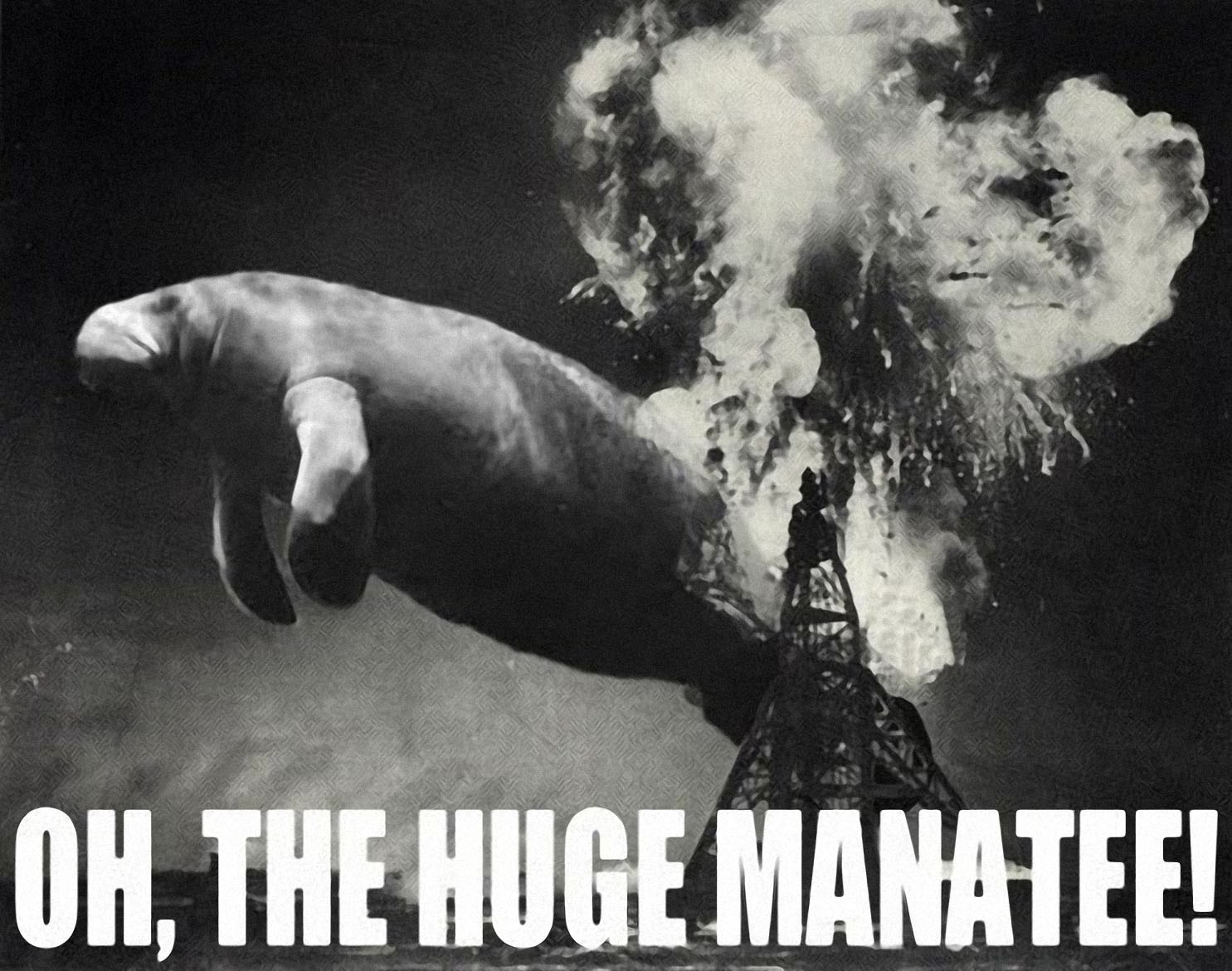 hugemanatee.jpg