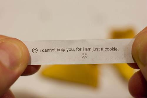I am just a cookie.jpg