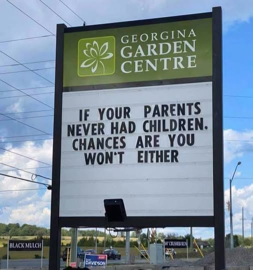 If your parents never had children.jpg