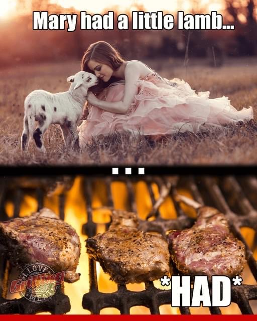 ilovemeat.jpeg