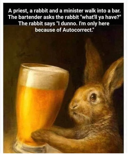 image.jpeg