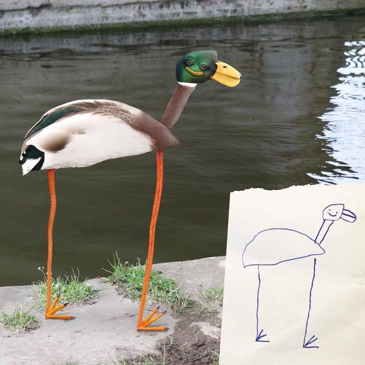 image.jpeg