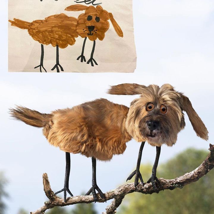 image.jpeg