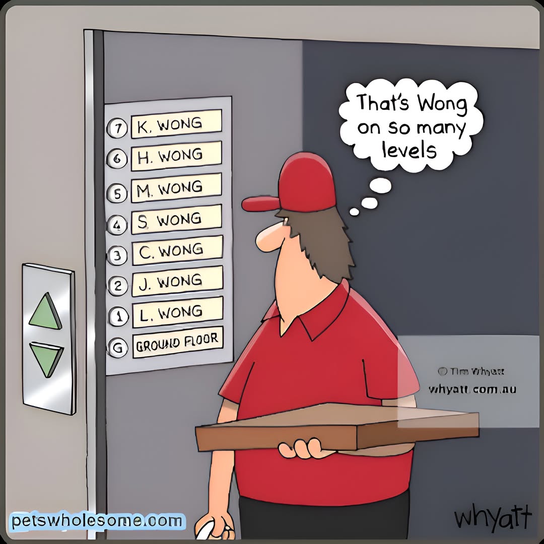 image.jpeg