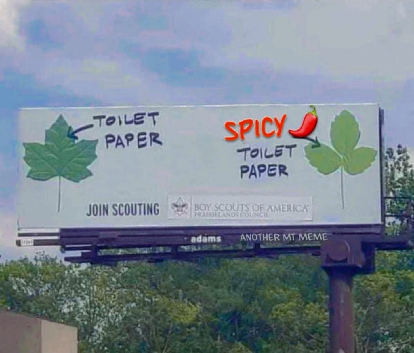 image.jpeg