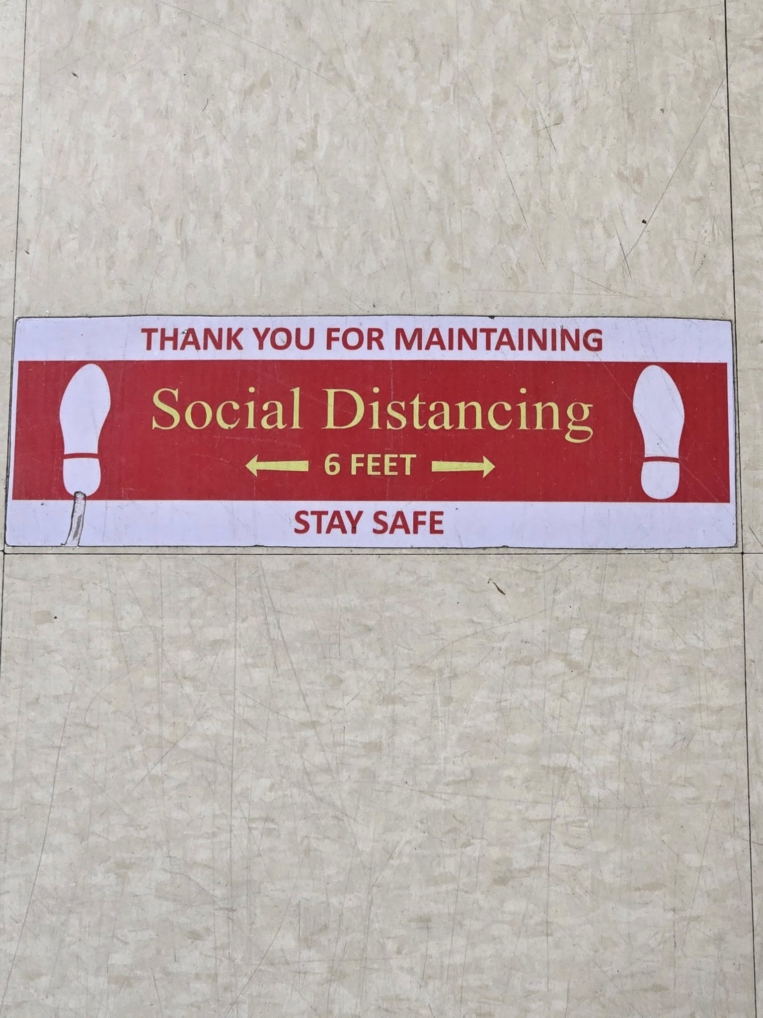 image.jpeg