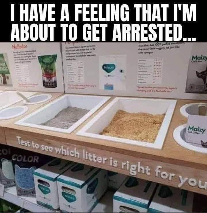 image.jpeg