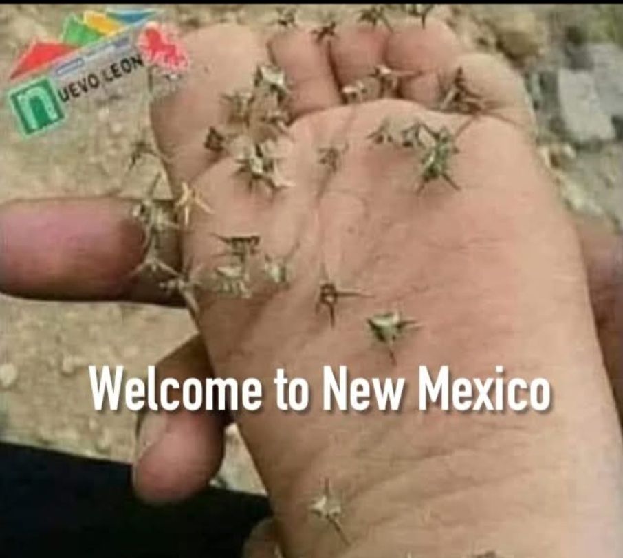 image.jpeg