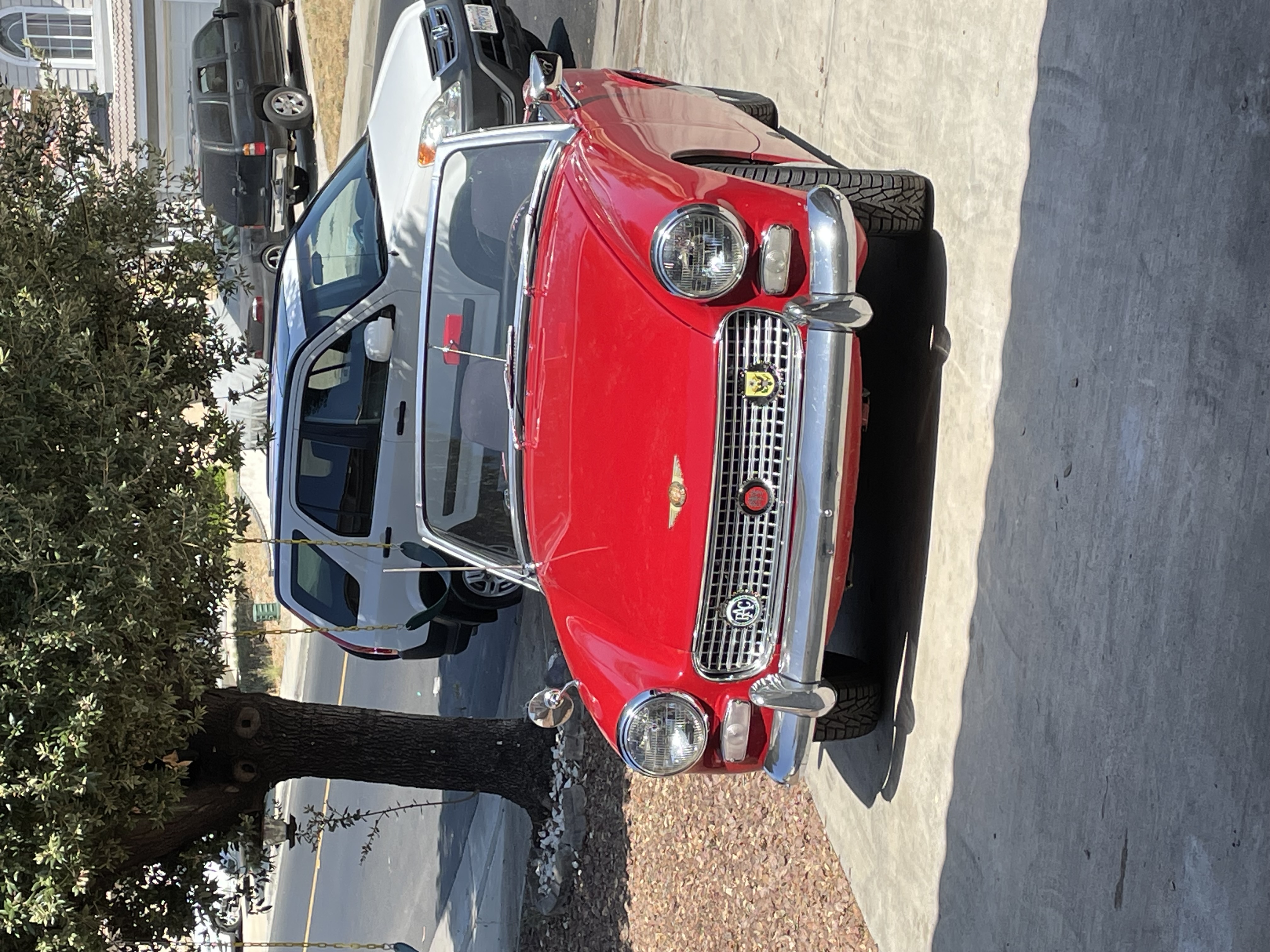 IMG_0503.jpeg