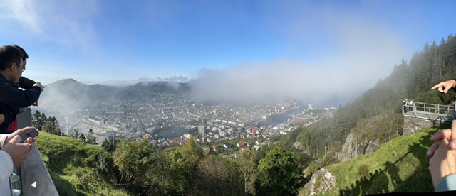 IMG_2376.jpeg