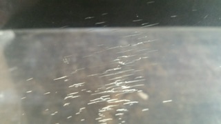 IMG_4867.jpeg