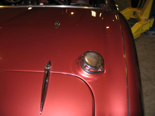 IMG_6652.jpg