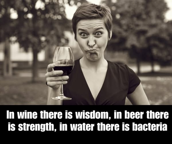 In wine there is wisdom.jpg