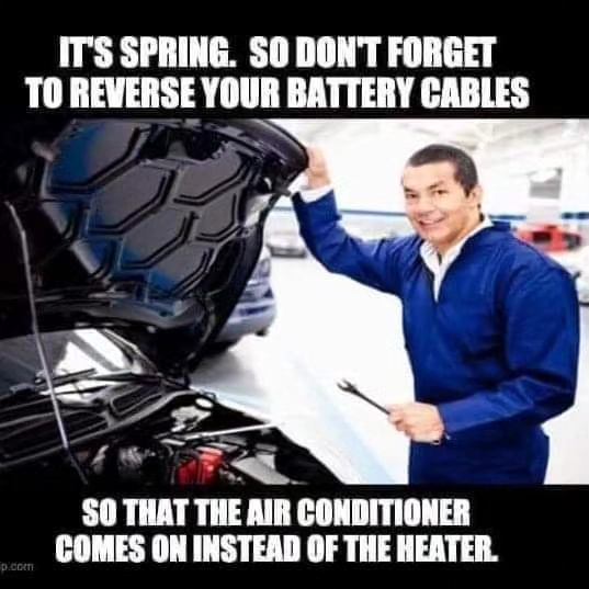 It's Spring.jpg