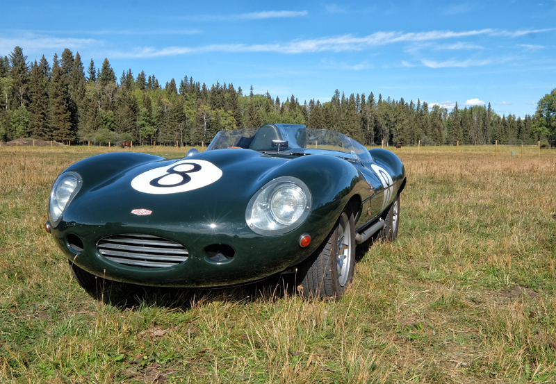 Jaguar 04.jpg