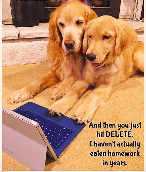Just hit delete.jpg