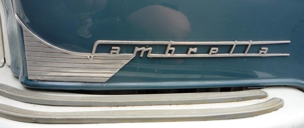 Li badge 003.jpg