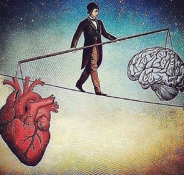 Life in One Picture.jpg