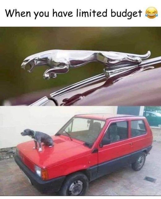 limited budget.jpg