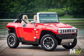 little hummer.jpg