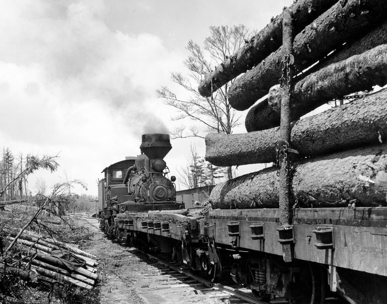 logging train.jpg