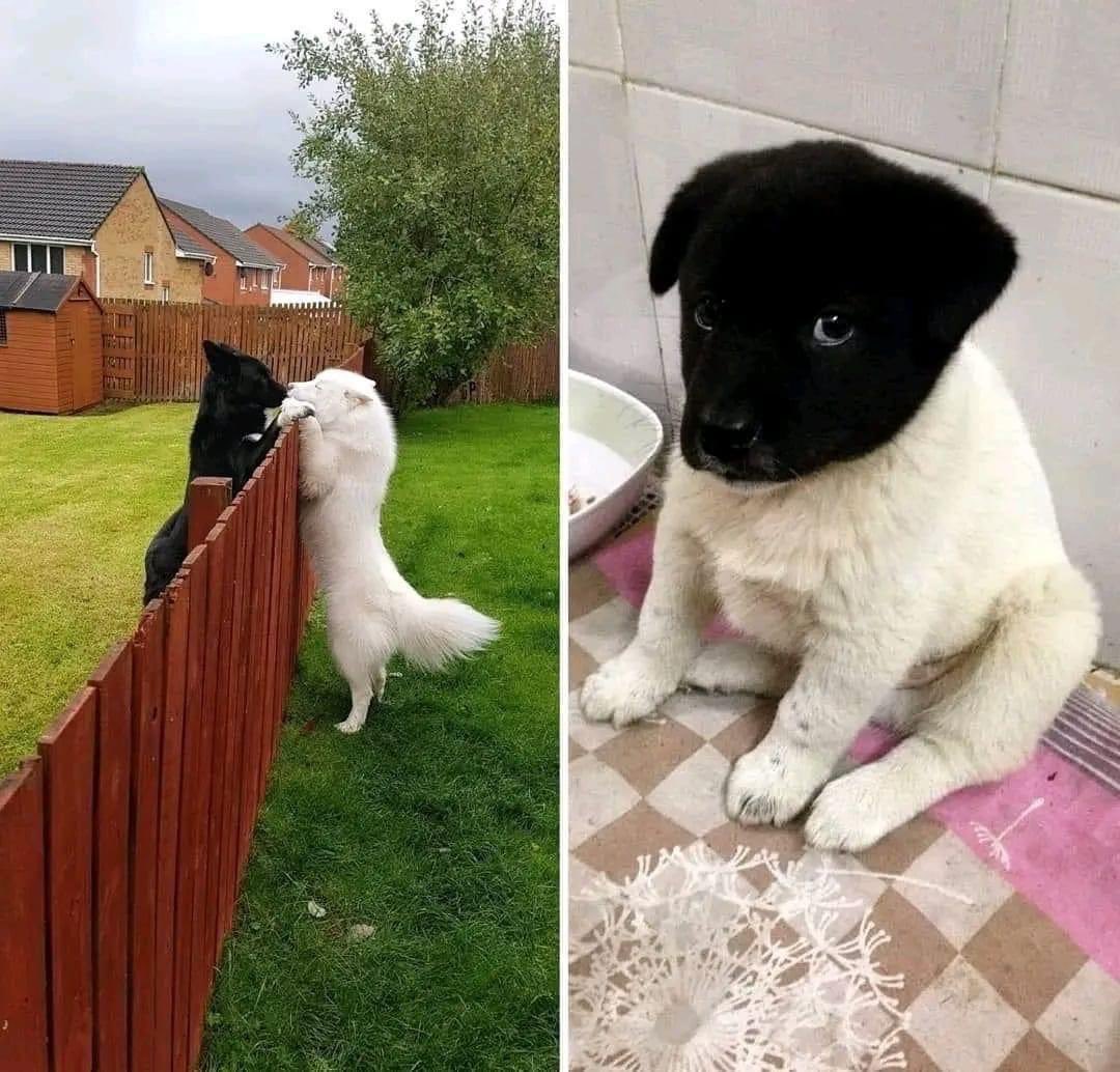 love story.jpeg