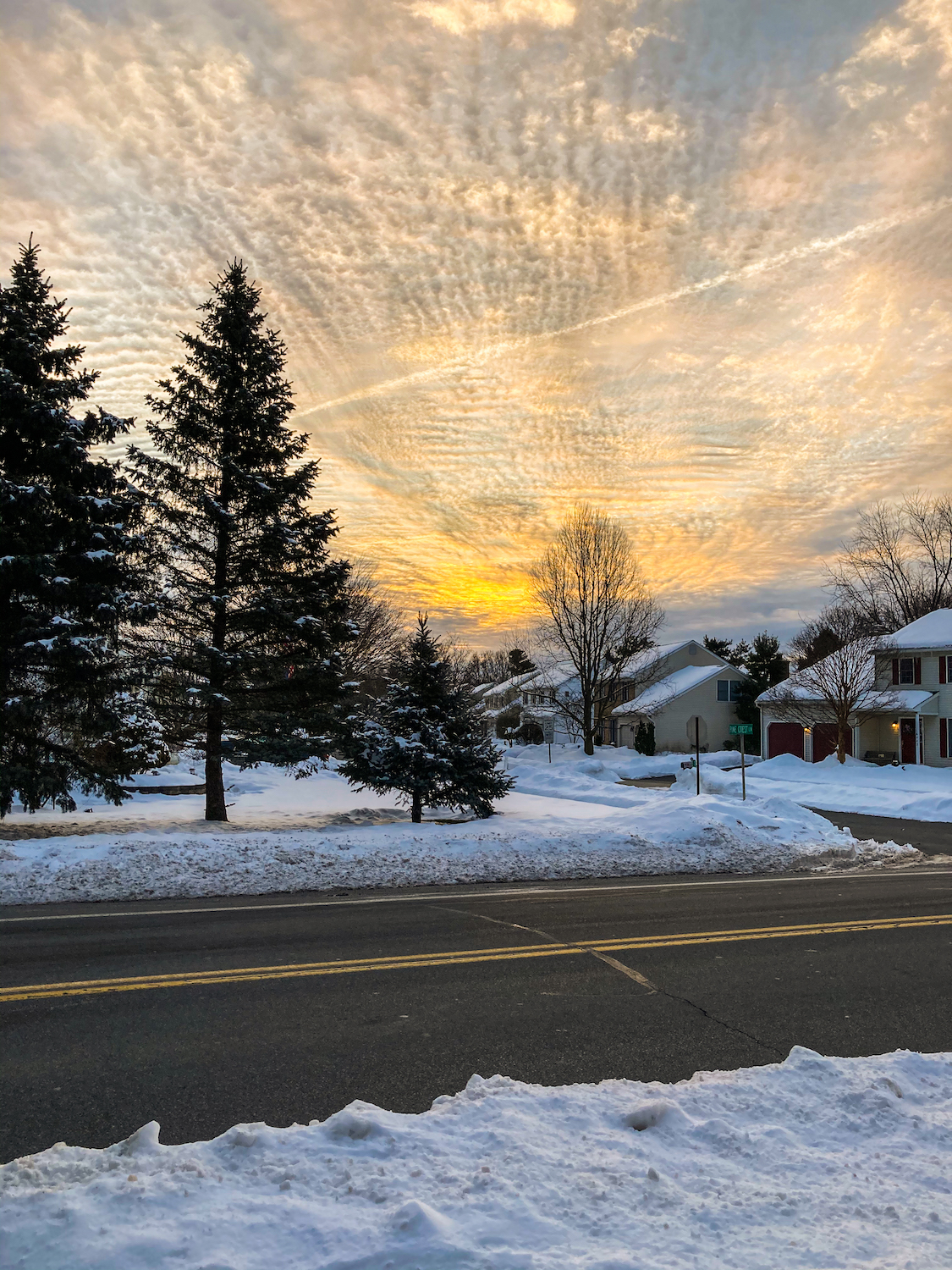 LRC-x12.IMG_3349 copy.jpg