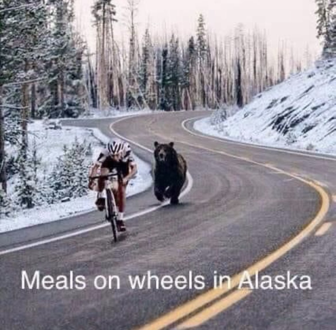 mealsonwheels.jpeg