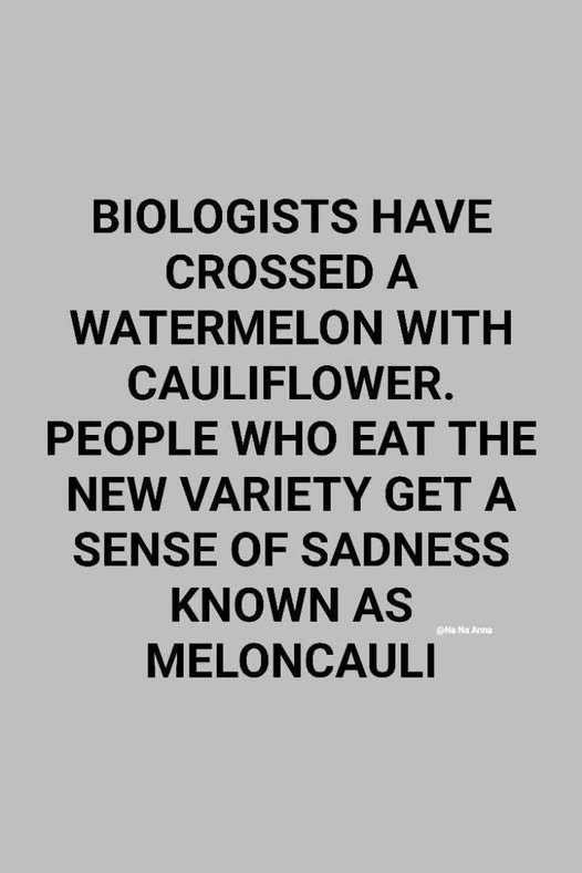 meloncauli.jpg