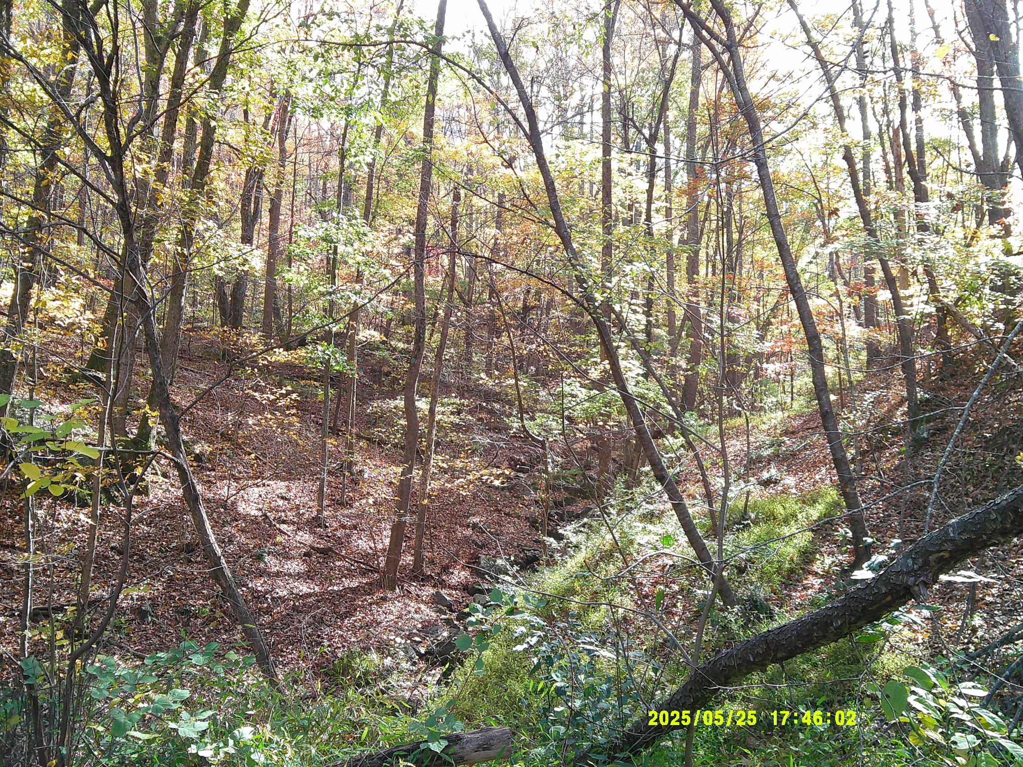 MerrimanNaffStarlight Roads 013.JPG