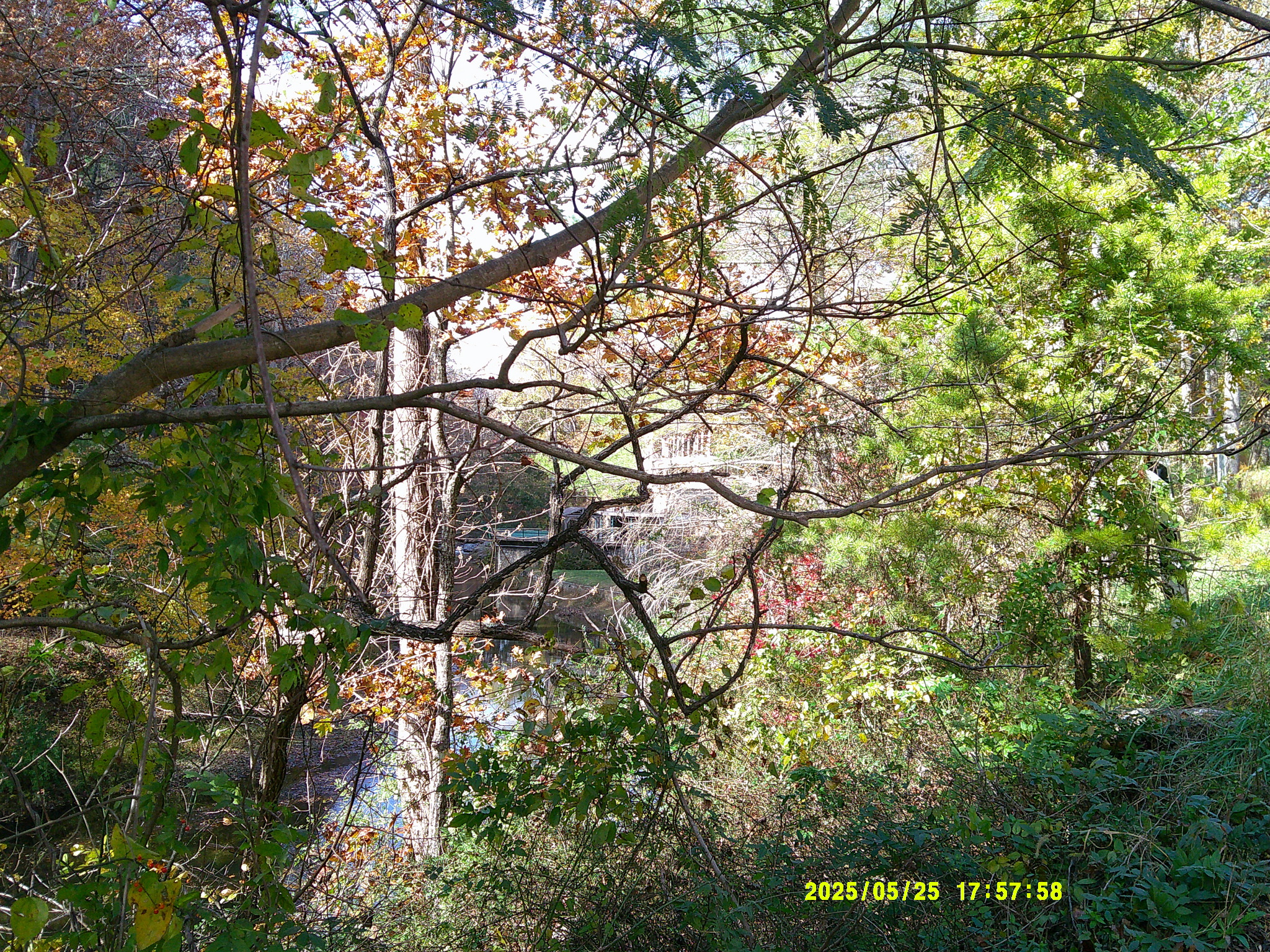 MerrimanNaffStarlight Roads 015.JPG