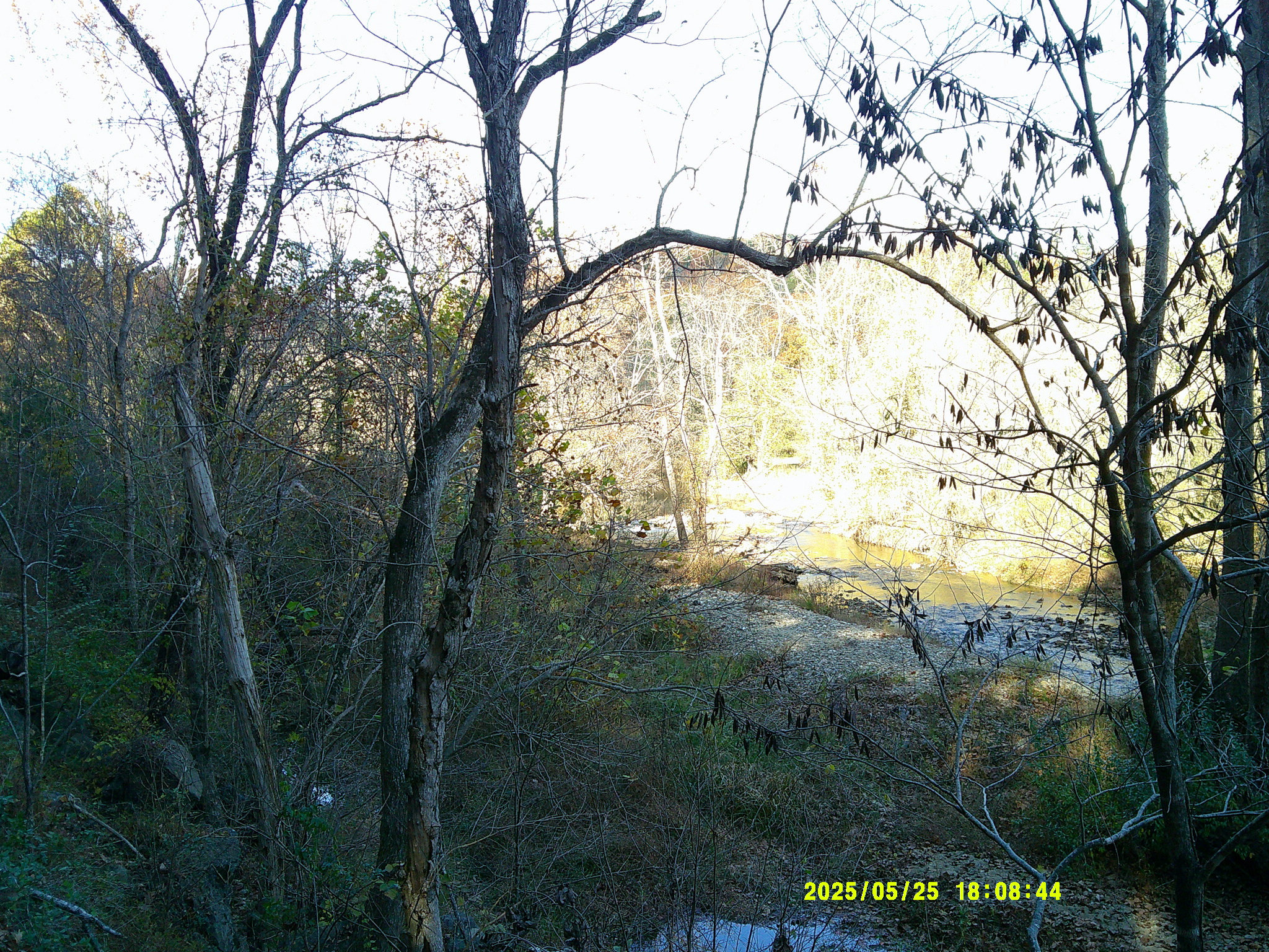 MerrimanNaffStarlight Roads 022.JPG