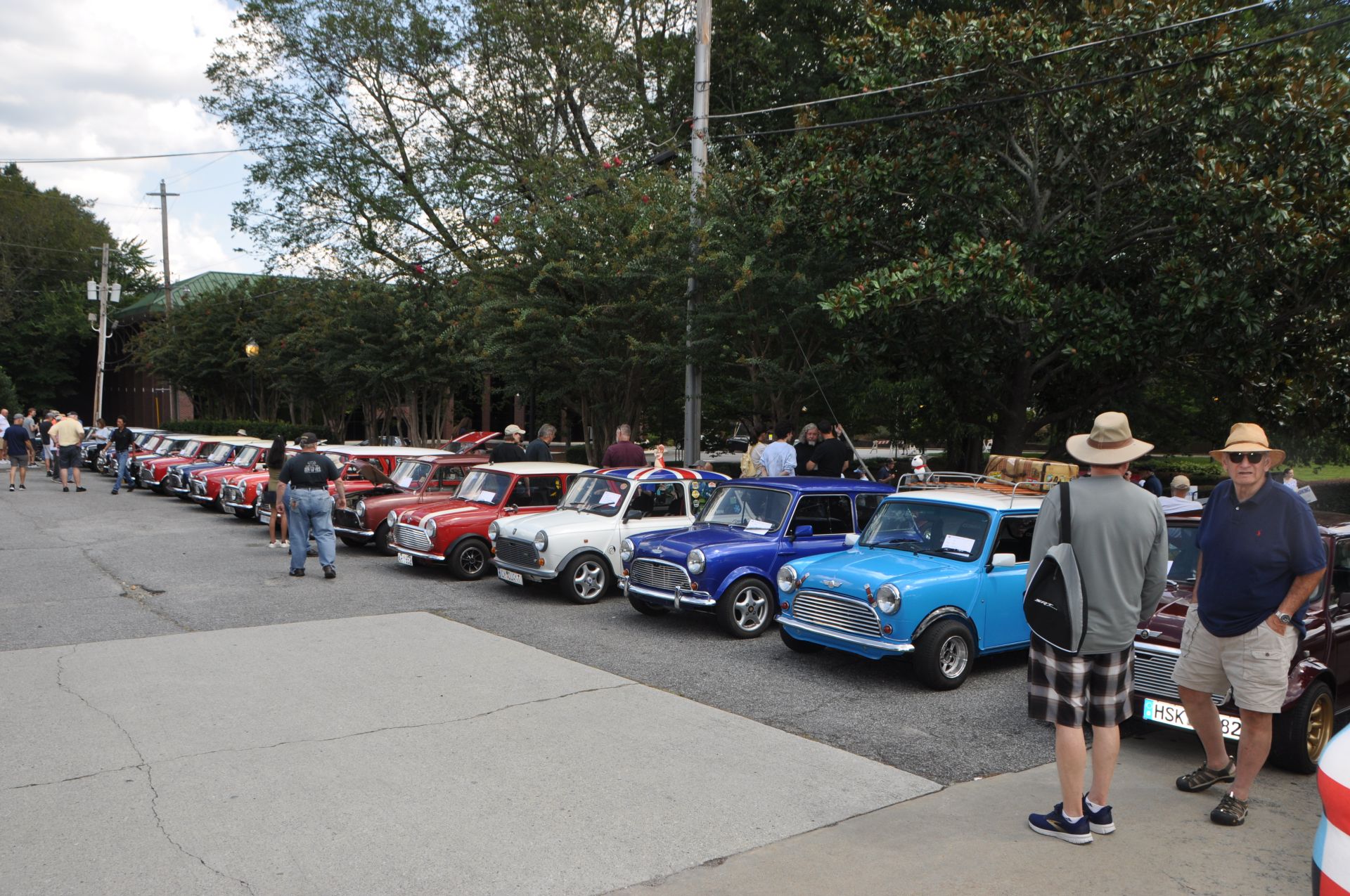 Minis as far as you could see.jpg