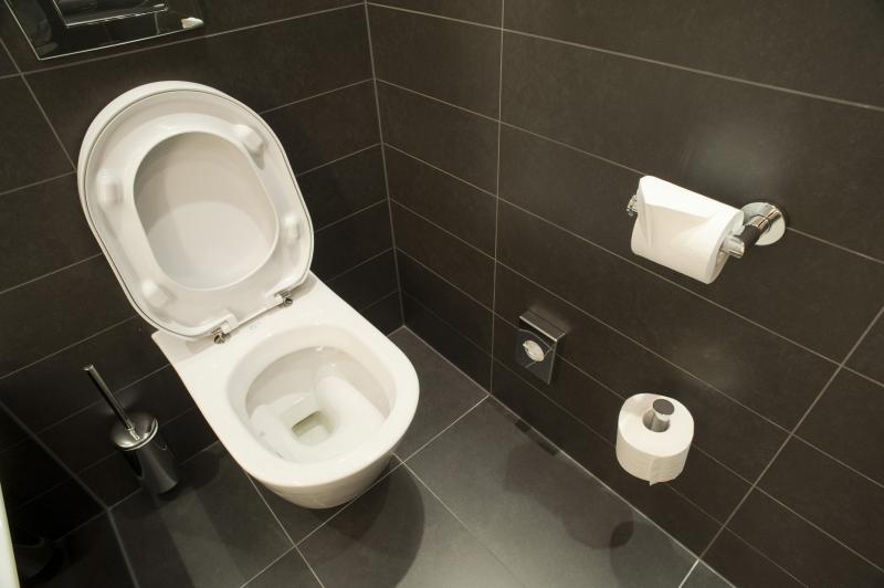 modern_toilet.jpg