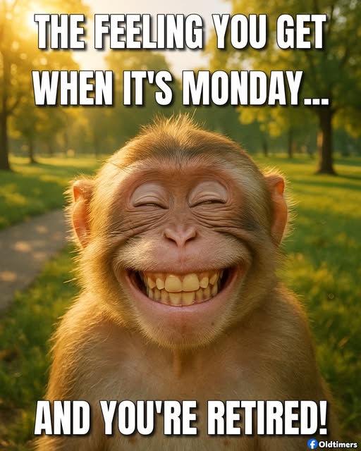 Monday and You're Retired.jpg