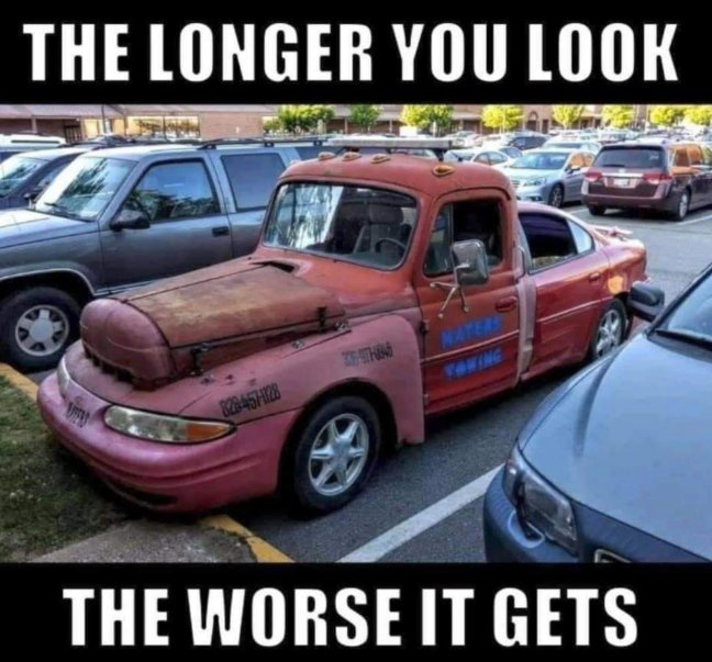 mongrel.jpg