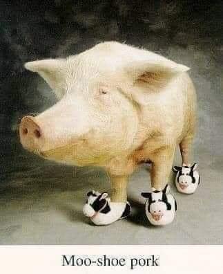 Moo-shoe pork.jpg