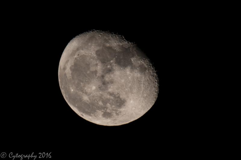 moon-22785.jpg