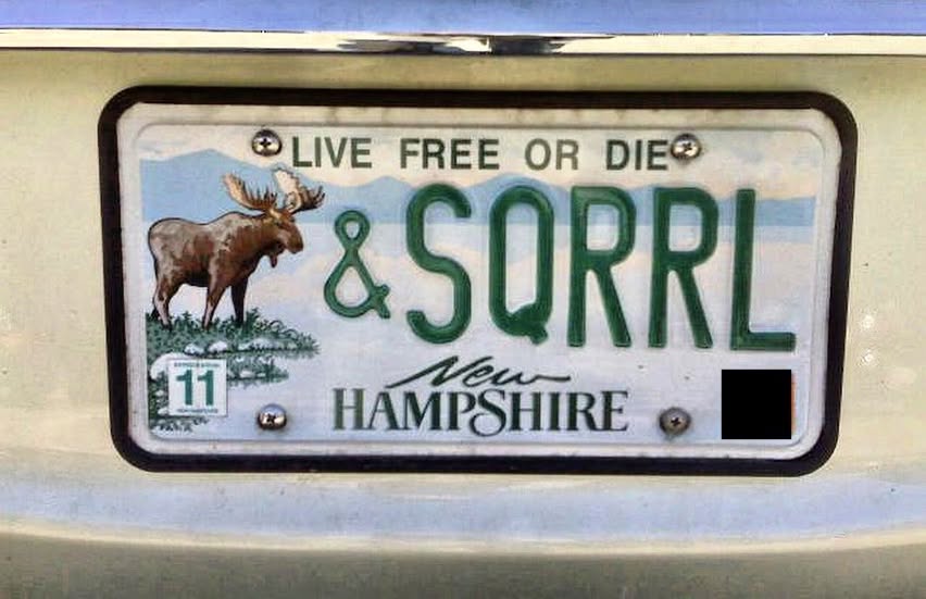 moose & squrrl.jpg