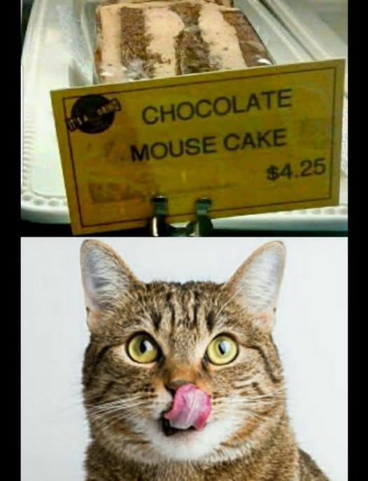 mouse cake.jpg