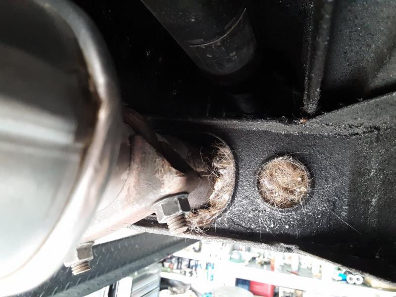 Mouse House (1024x768).jpg