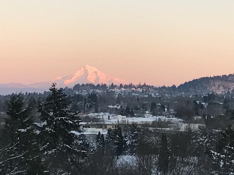 Mt Hood