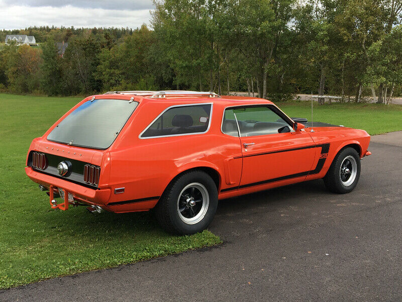mustang.jpg
