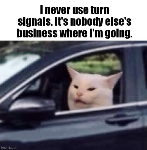 Never use turn signals.jpg