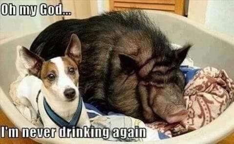 never_drinking.jpg