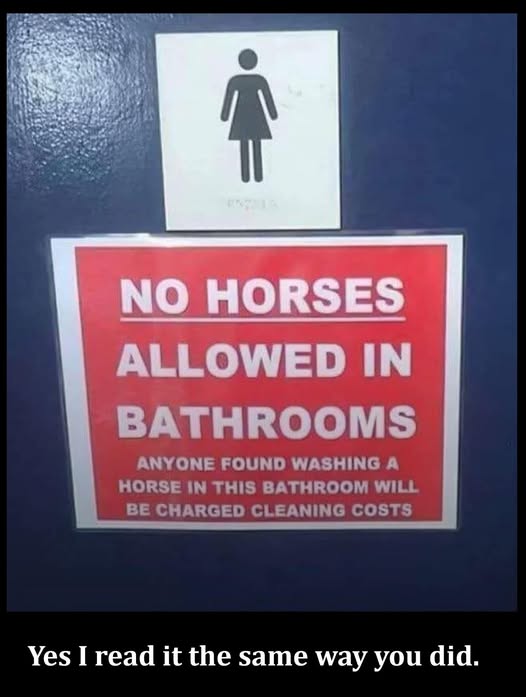 No horses in bathroom.jpg
