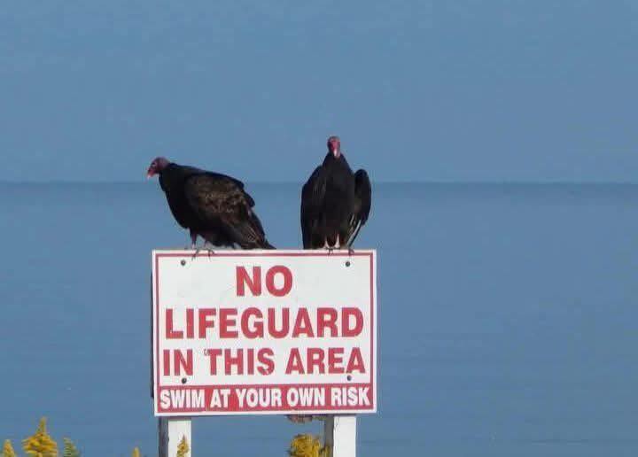 No lifeguard.jpg