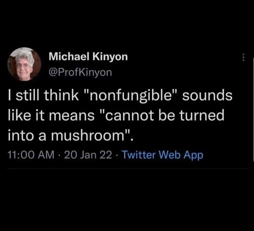 nonfungible.jpg