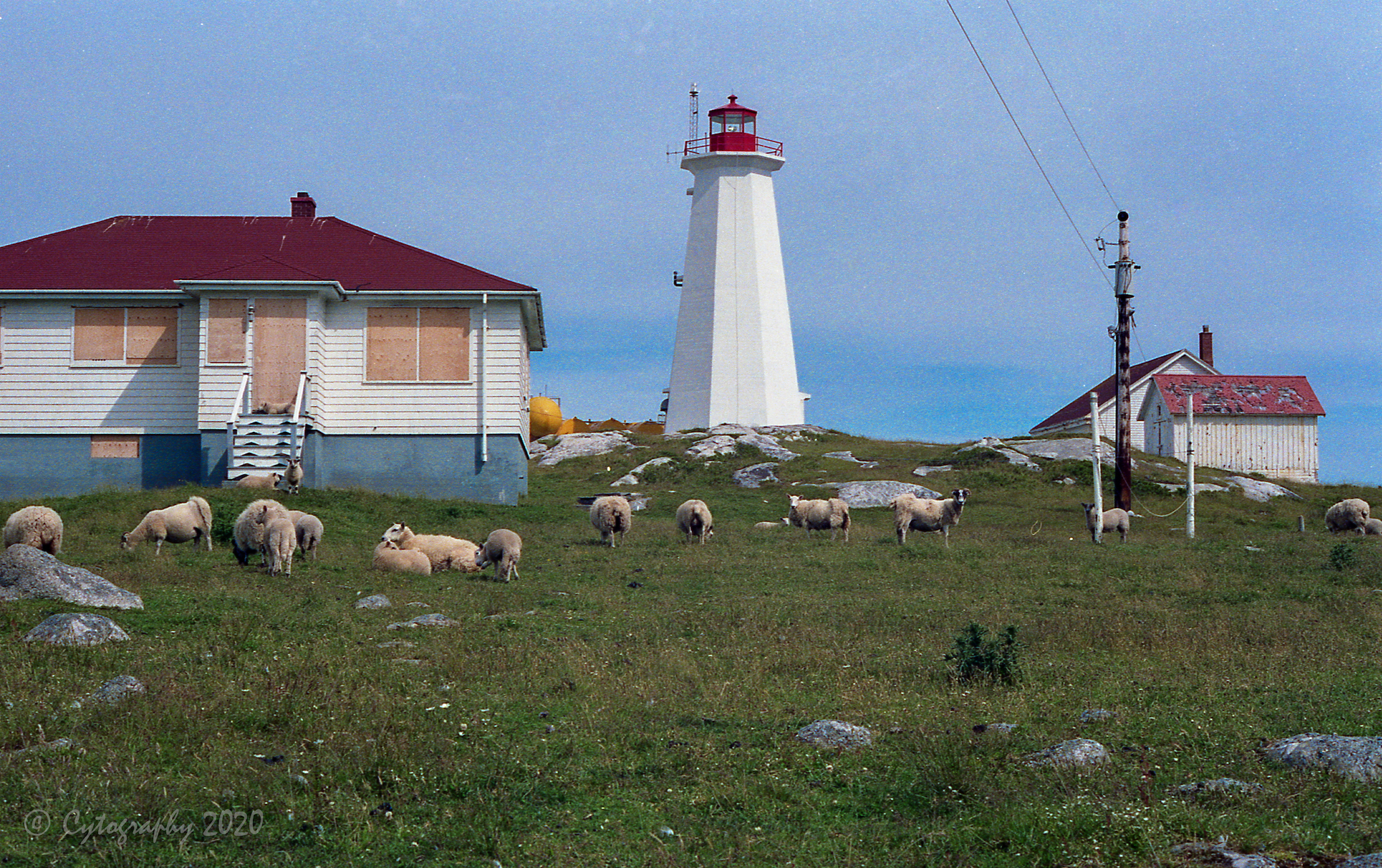 Nova_Scotia-5216.jpg