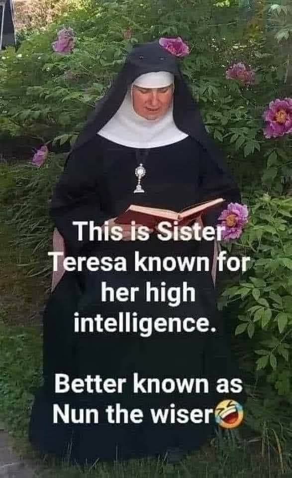 nun-the-wiser.jpeg